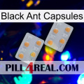 Black Ant Capsules 25